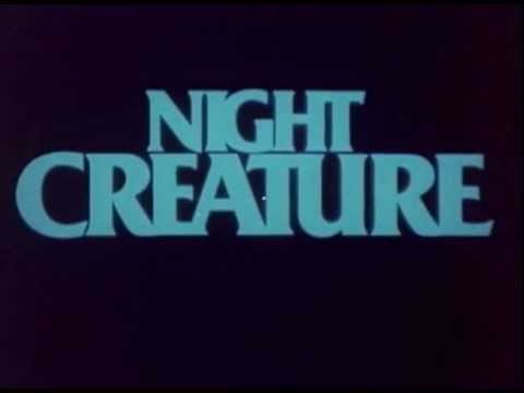 Night Creature'