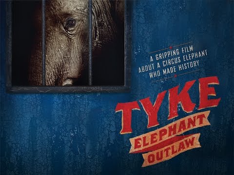 Tyke Elephant Outlaw'