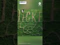 Maryland corn maze pays tribute to Wicked - 00:29 min - News - Video