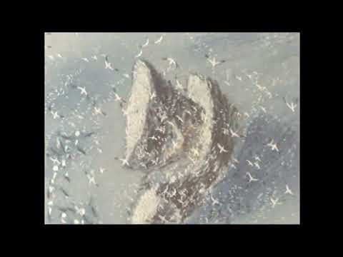 Le fleuve aux grandes eaux'