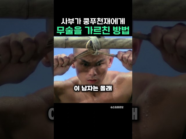 사부가 쿵푸천재에게 무술을 가르친 방법