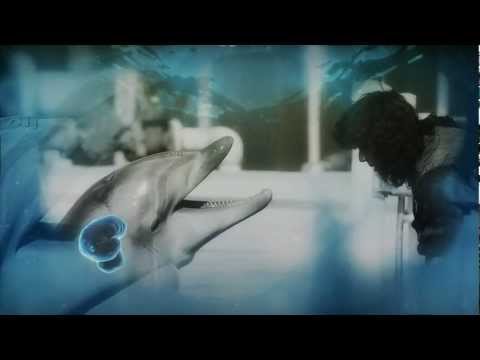 The Dolphin in the Mirror by Diana Reiss - YouTube