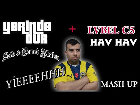 Stand Still + Woof Woof Mashup (Demet Akalın + Sefo + Lvbel c5 + Kadıköy Bull 😄)