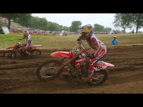 REDBUD 2025