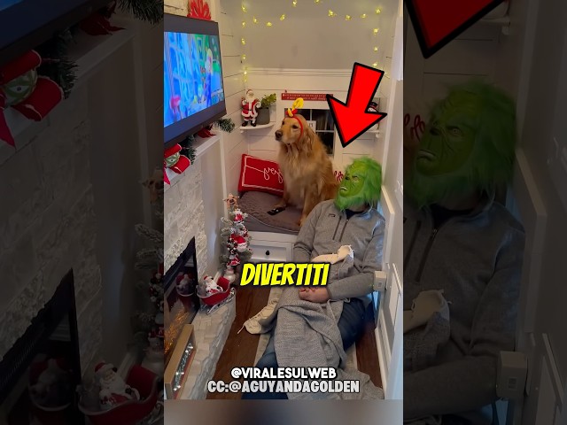 LUI NON LO TRADIRÀ MAI🥺 #shorts