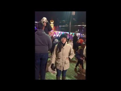 Bing Kat's Calgary Winter