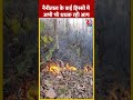 Nainital के कई हिस्सों में अभी भी धधक रही आग | Fire News #shorts  #shortsvideo #viralvideo - 00:36 min - News - Video