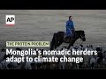 How Mongolias nomadic herders adapt to climate change | The Protein Problem