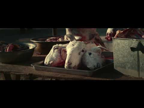Wrath of Silence'