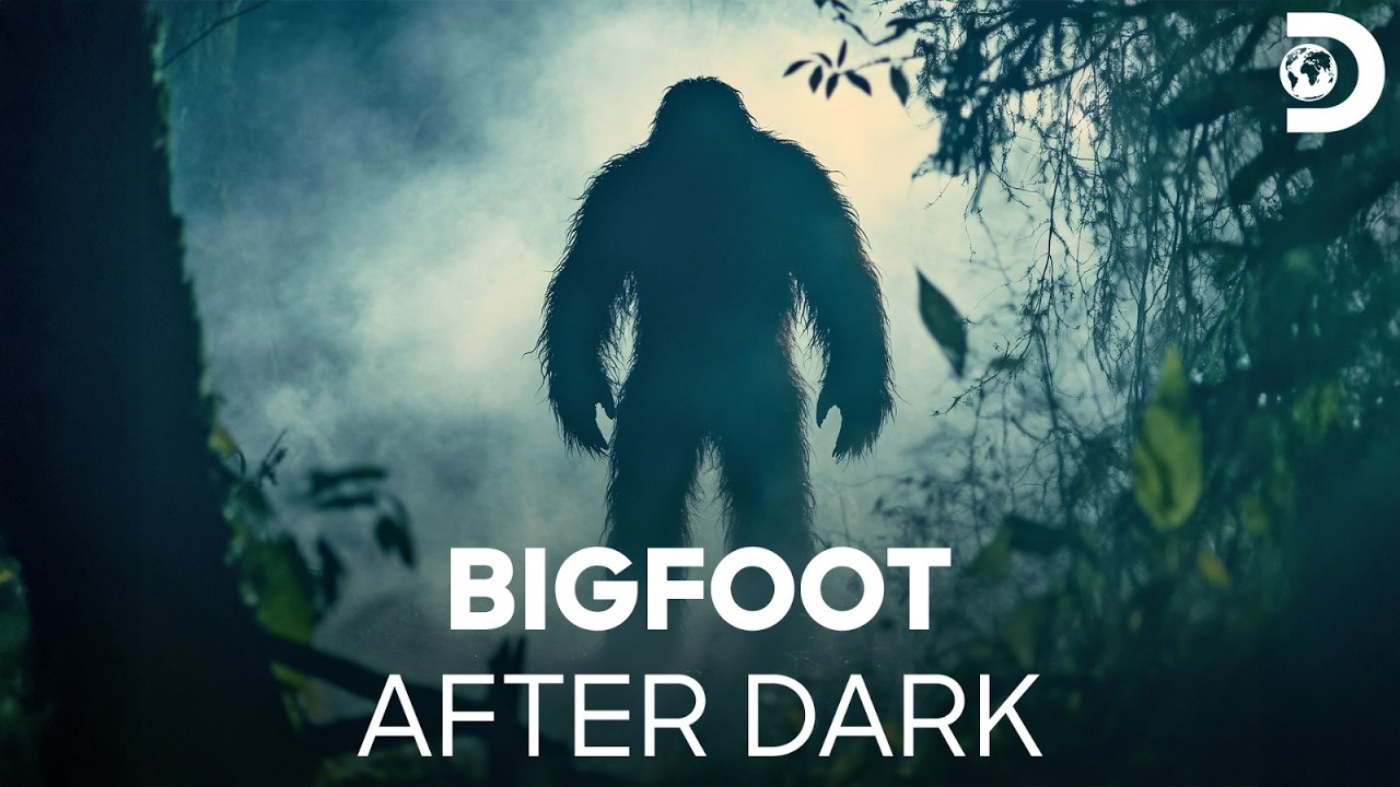Why the Team Keeps Searching After Sunset | Expedition Bigfoot S2 | Discovery Channel India