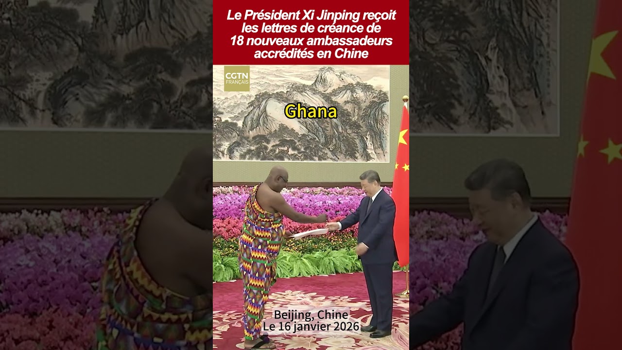 Le Président Xi Jinping reçoit les lettres de créance de nouveaux ambassadeurs accrédités en Chine