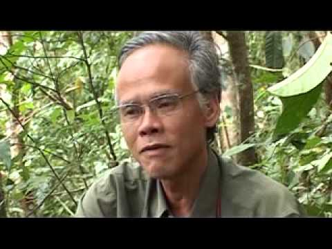 Participatory Carbon Monitoring - Viet Nam