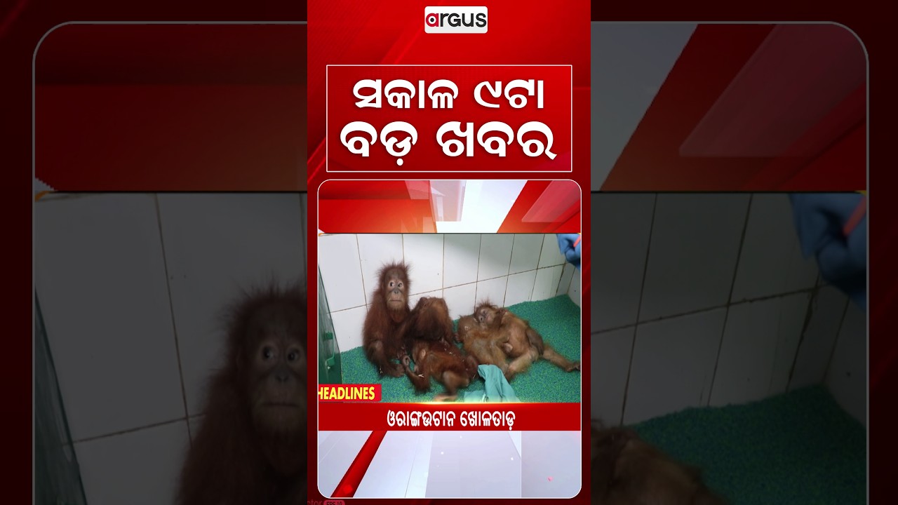 9 AM Headlines | 10 Sept 2026 | Today’s Top News Updates | Odisha Latest News | Argus News