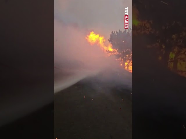 Sakarya Geyve'deki orman yangınında ters esen rüzgarda alevlerle mücadele eden işçilerin zor anları