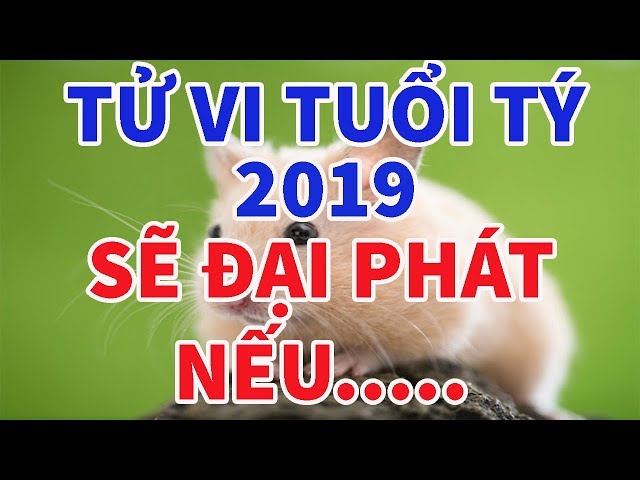 Chấm tử vi tuổi Tý 2019 muốn Giàu to làm ngay chuyện này