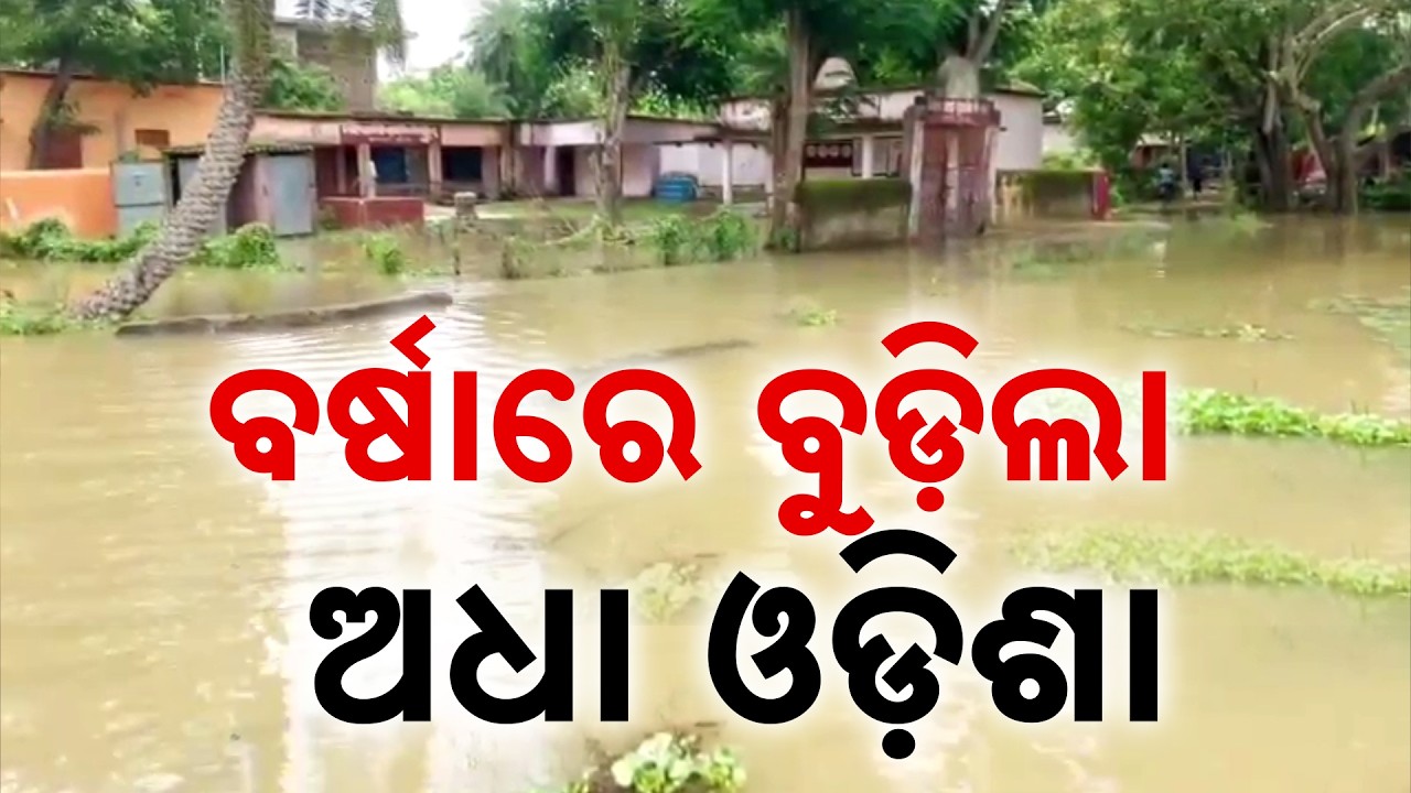 Odisha Rain | 4 De*d In Rain Related Incidents; Heavy Rainfall Alert For Next 3 Days | Argus News