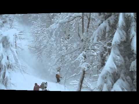 La blanca Selva Negra