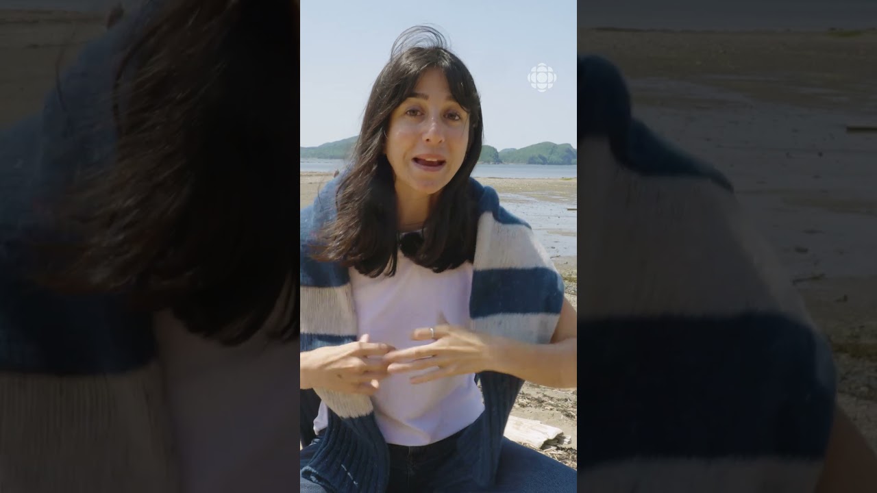 Une aire marine protégée presque quatre fois plus grande