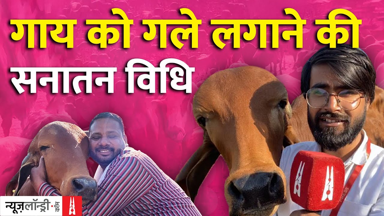 Tutorial: गौ माता को गले कैसे लगाएं? | Valentines Day