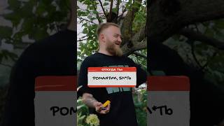 Подарил Баунти и теперь отрабатывает #откудаты #курск #дедищев #джабраилов #mediumquality