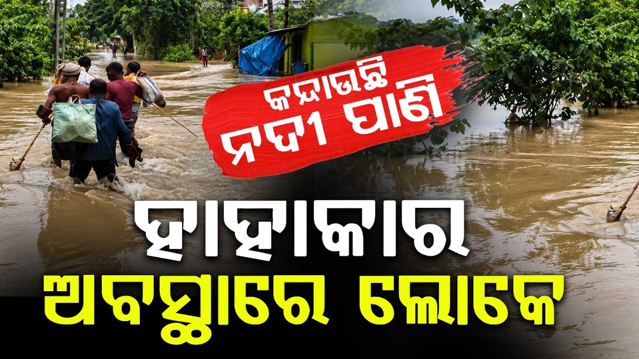 Odisha Flood Crisis: Back To Back Floods Devastate Multiple Districts | Argus News