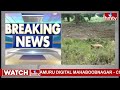 కుప్పం లో పంటపొలాల్లో ఏనుగుల దండు బీభత్సం | Elephant Hulchul in Kuppam | hmtv  - 01:30 min - News - Video