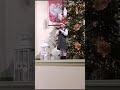 Miniatura video