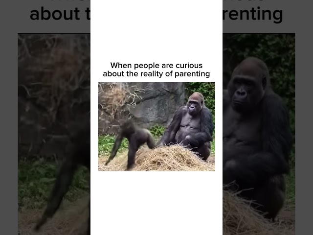 Follow for music, memes & unexpected fun! 🎹 #parenting #relatableaf #kids