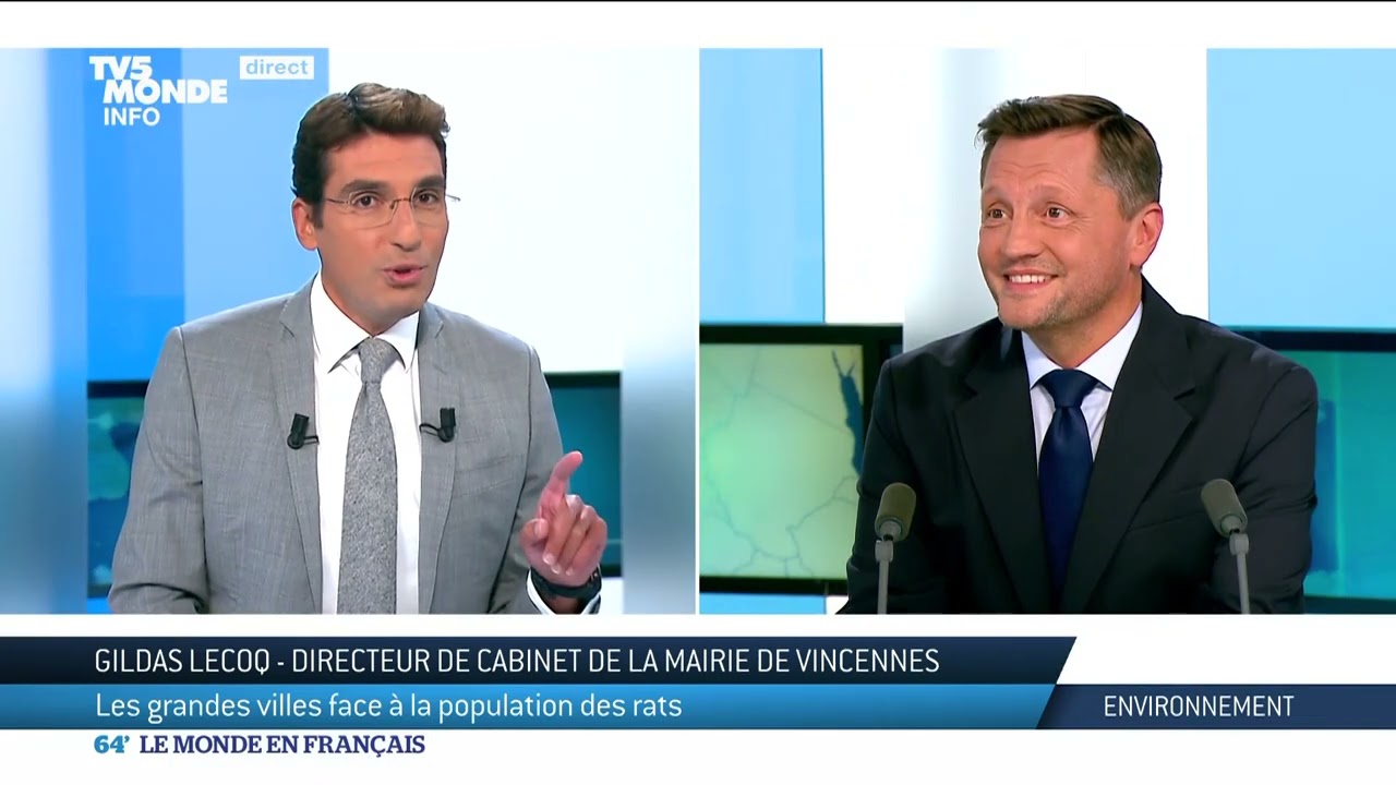 Les grandes villes face à la population des rats
