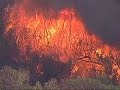 AP-New Mexico fire burning in wildlife refuge