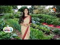 పెరట్లో కూరగాయల తోట | Vegetable Cultivation in the Garden | Matti Manishi | 10TV  - 05:31 min - News - Video