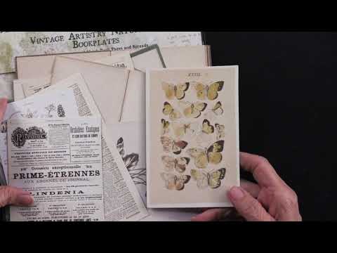 Vintage Artistry Naturalist Ephemera Bits