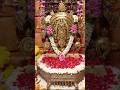 సకల శుభాలు అనుగ్రహించే శ్రీ వేంకటేశ్వర స్వామి దర్శనం 🙏🕉️ #venkateswaraswamy #decorationvideo