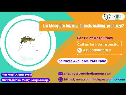 Mosquito Control Services in Bangalore