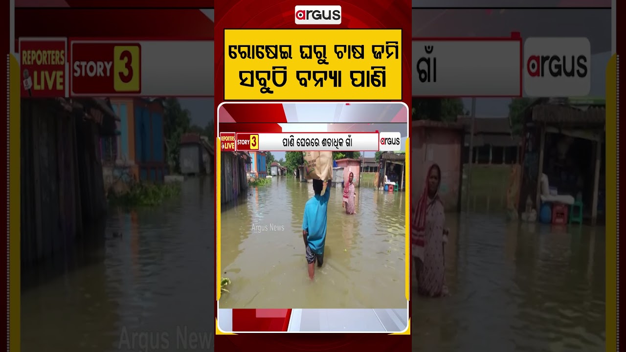 ରୋଷେଇ ଘରୁ ଚାଷ ଜମି, ସବୁଠି ବନ୍ୟା ପାଣି | Subarnarekha River Flood In Bhograi | Argus News