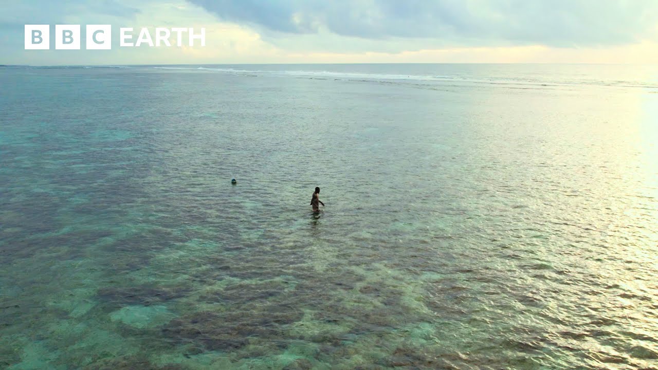 Have You Ever Heard of a Fish Bank? | Our Planet Earth | BBC Earth