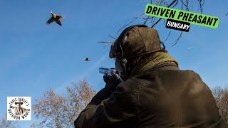 Driven Pheasant Shoot in Hungary