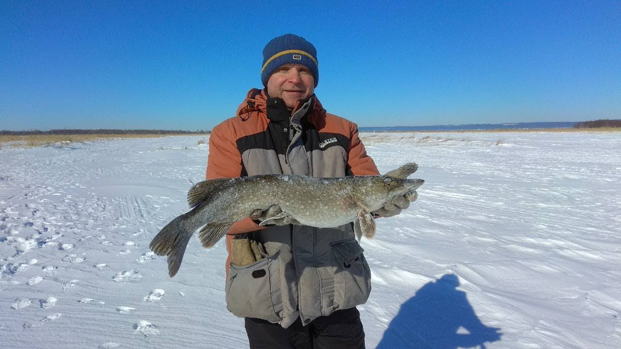 Рыбалка зимняя в красный бор