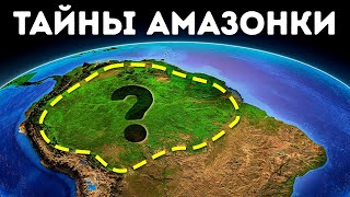 Муравьи создают «дьявольские сады» в тропическом лесу, и это впечатляет