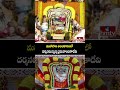 Srisailam : మహాగౌరి అలంకారంలో దర్శనమిస్తున్న భ్రమరాంబికాదేవి | hmtv