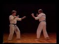 Ashihara Karate[1]