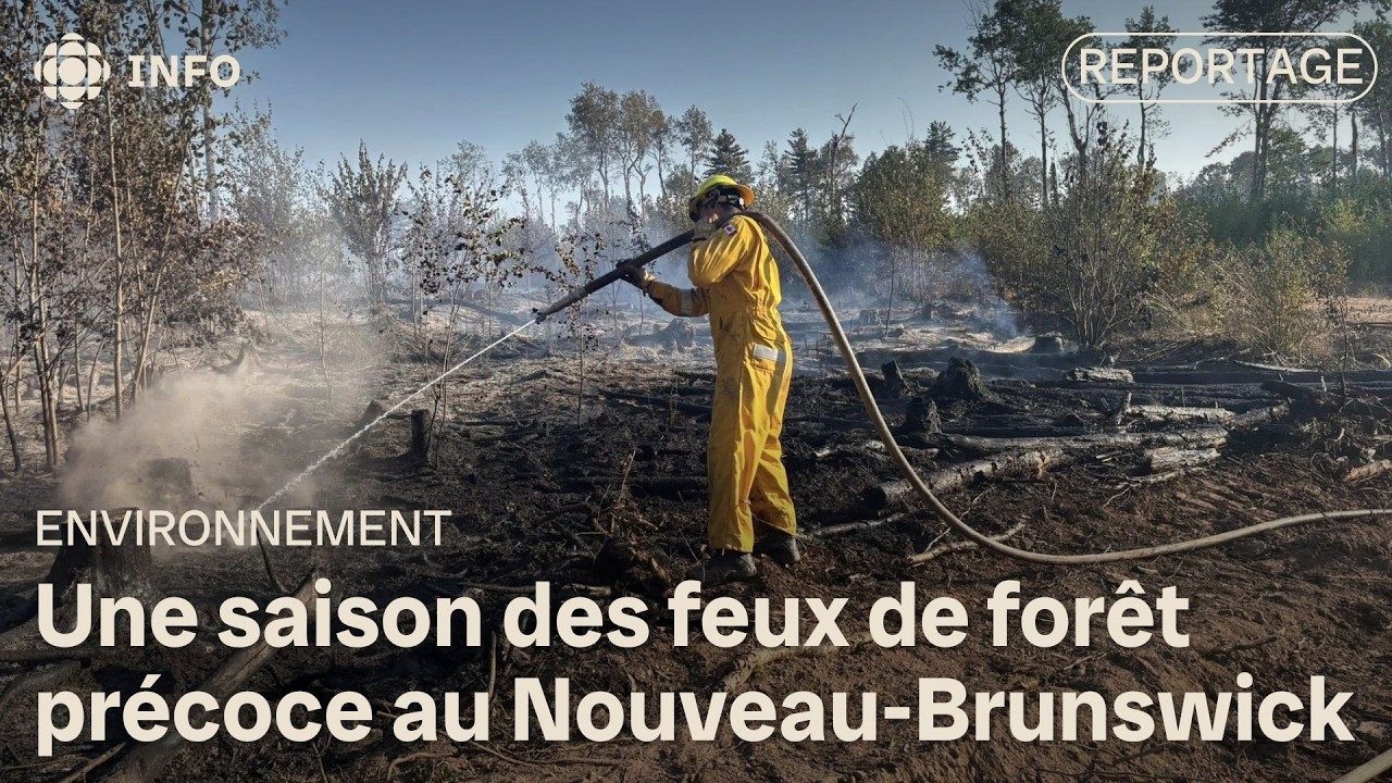 Déjà 35 feux de forêt ce printemps au Nouveau-Brunswick