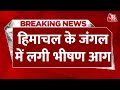 Breaking News: Himachal Pradesh के Chamba के जंगल में लगी अचानक भीषण आग, मचा हड़कंप