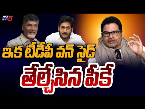 Prasanth Kishore Key Comments On Ap Election Survey