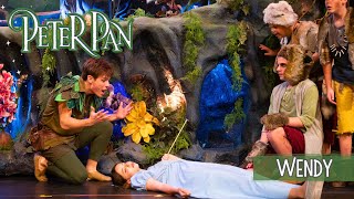 Peter Pan | Wendy | Live Musical Performance