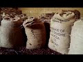 Chocolate price to soar anew as cocoa output fails  - 01:40 min - News - Video