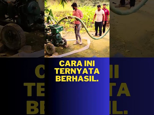 Ku harus mendatangkannya.