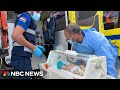 WATCH: Premature babies evacuated from the Gaza Strip to Egypt