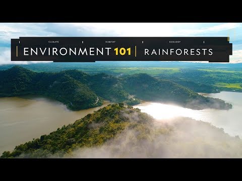 101環境教室：雨林《國家地理》雜誌