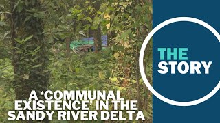Nestled in the woods just outside of Portland, homeless camps resist state attempts to clear them